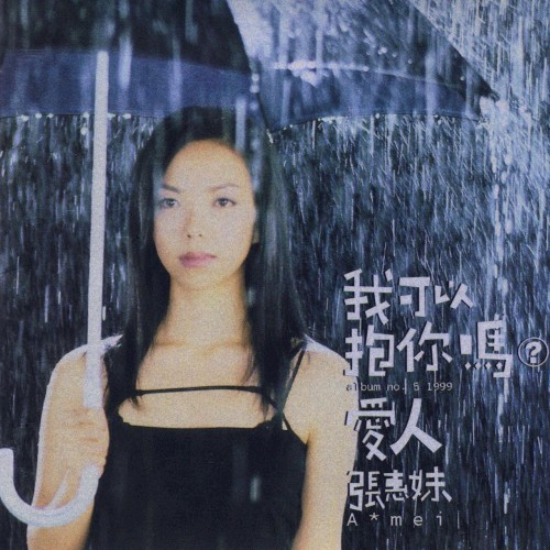 我可以抱你嗎？愛人封面