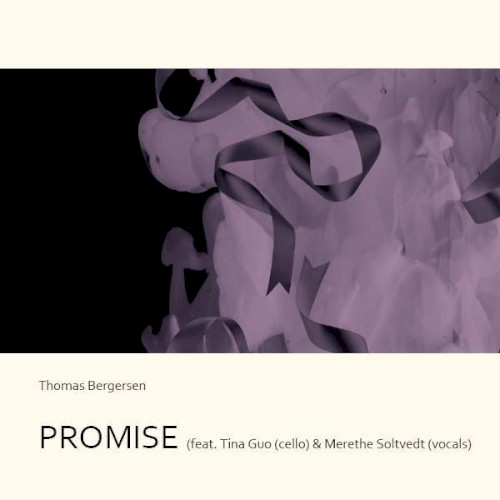 Promise封面