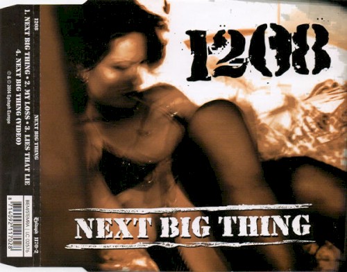 Next Big Thing封面