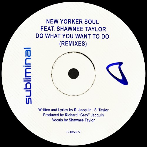 Do What You Want to Do (Remixes)封面
