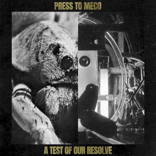 A Test of Our Resolve封面