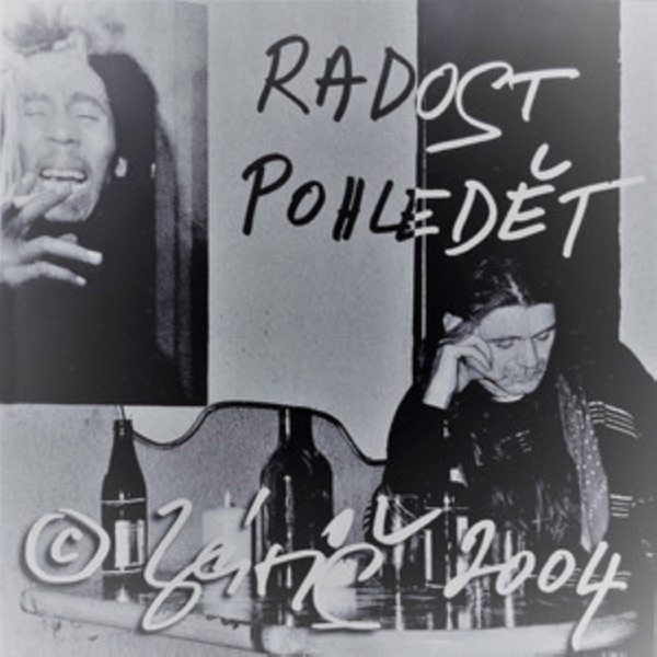 Radost pohledět封面