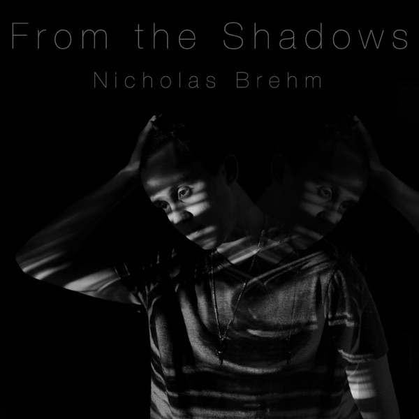 From the Shadows封面