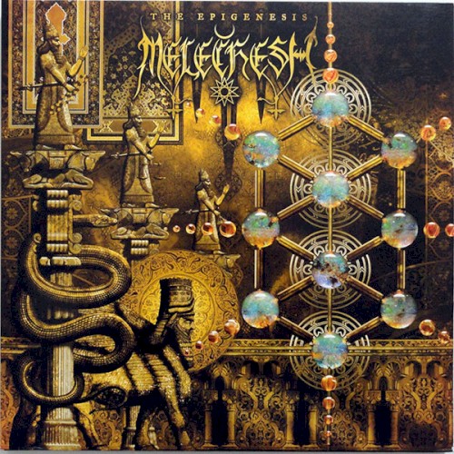 The Epigenesis封面