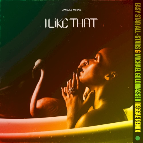 I Like That (Easy Star All‐Stars & Michael Goldwasser reggae remix)封面