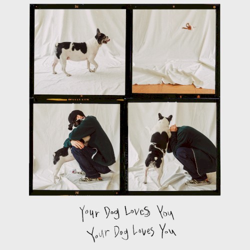 Your Dog Loves You封面