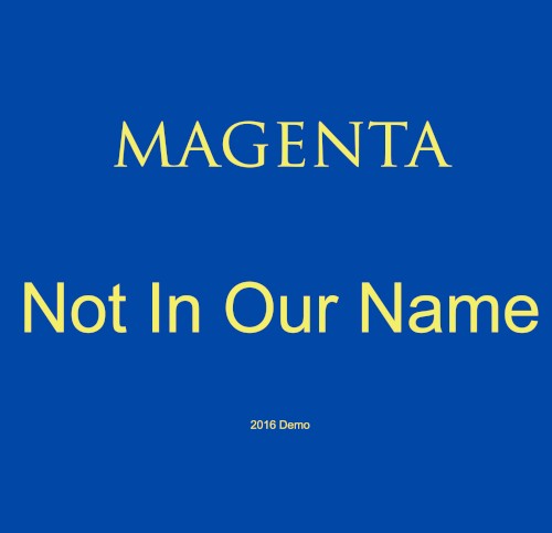 Not in Our Name封面