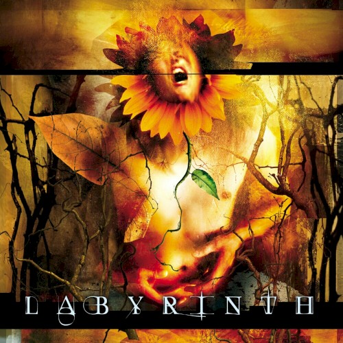 Labyrinth封面