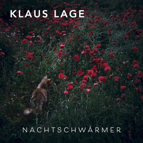 Nachtschwärmer封面