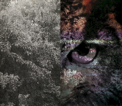 Humming Amps Vol. 2: The Owl's Legacy封面