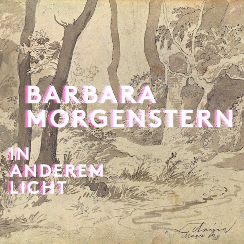 In anderem Licht封面
