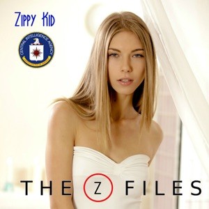 The Z‐files封面