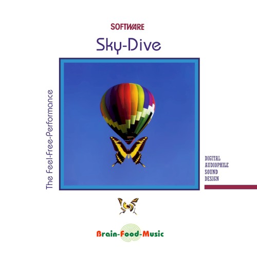 Sky-Dive封面