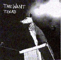 Texas封面