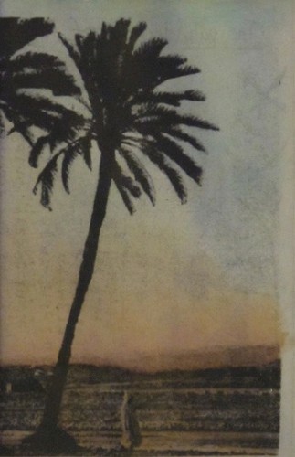 The Palm Leaves of Victory封面