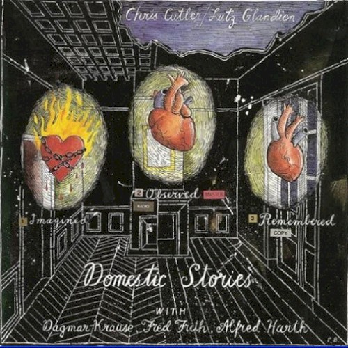 Domestic Stories封面