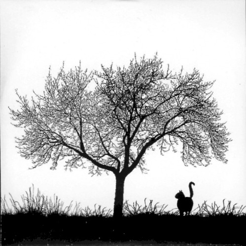 Library Tapes / Nils Frahm封面