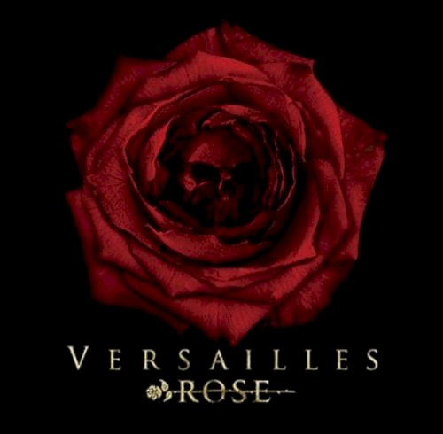 ROSE封面