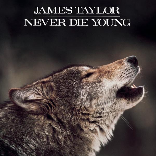 Never Die Young封面