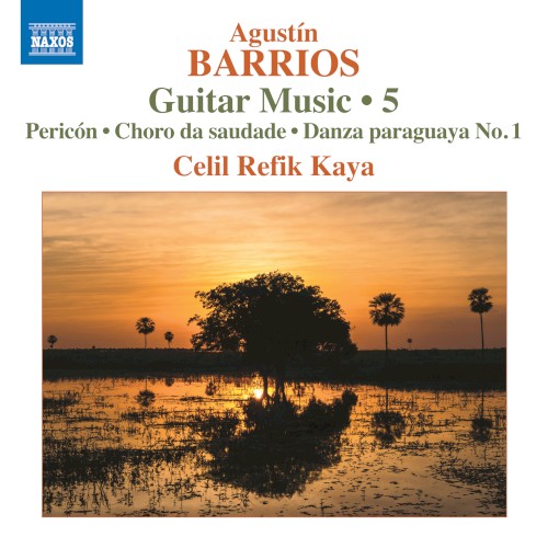 Guitar Music 5: Pericón / Choro da saudade / Danza paraguaya no. 1封面