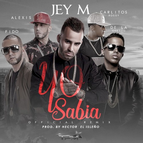 Yo sabía (remix)封面