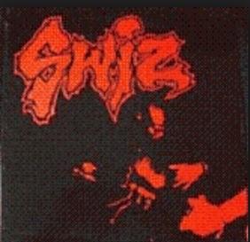 Swiz封面