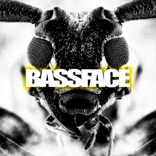 Bassface封面