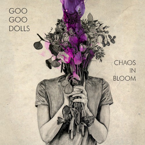 Chaos in Bloom封面