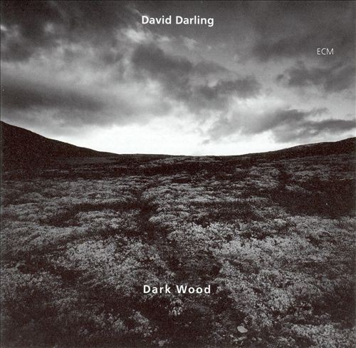 Dark Wood封面