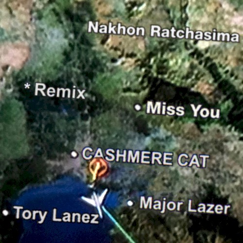 Miss You (remixes)封面
