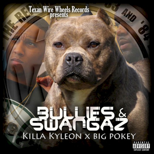 Bullies & Swangas封面