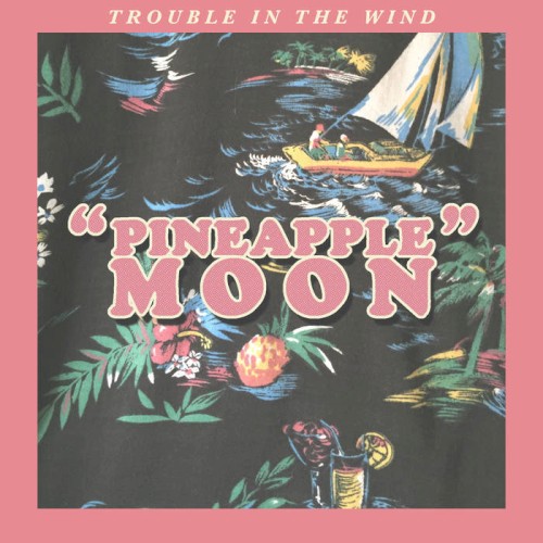 Pineapple Moon封面
