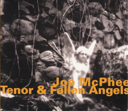 Tenor & Fallen Angels封面