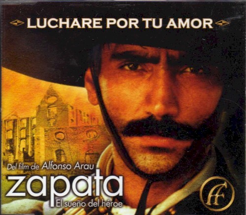 Lucharé por tu amor封面