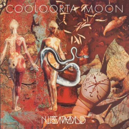 Cooloorta Moon封面