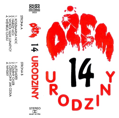 14 urodziny封面