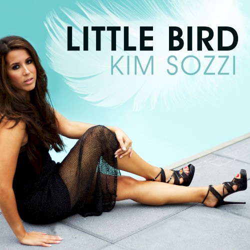 Little Bird封面