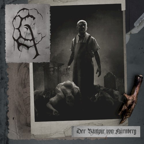 Der Vampir von Nürnberg封面