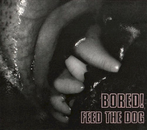 Feed the Dog封面