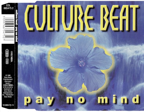 Pay No Mind封面