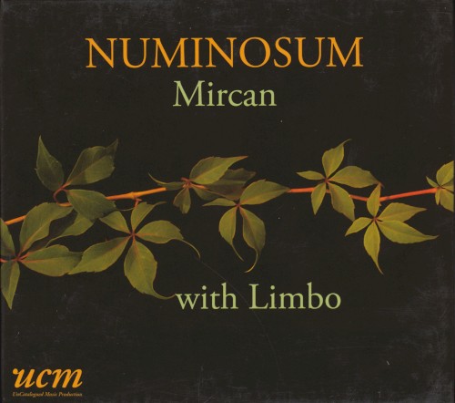 Numinosum封面