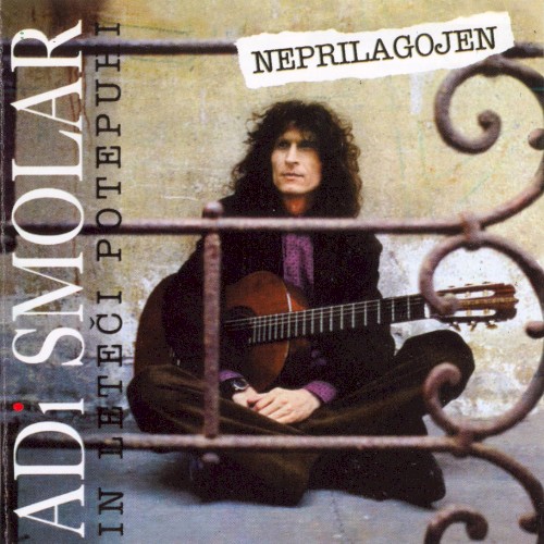 Neprilagojen封面
