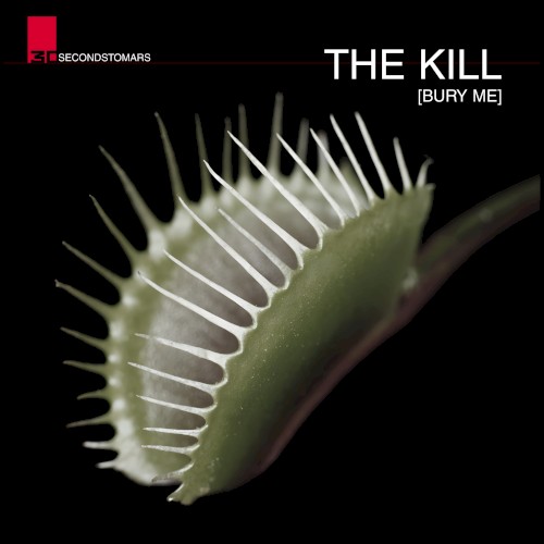 The Kill封面