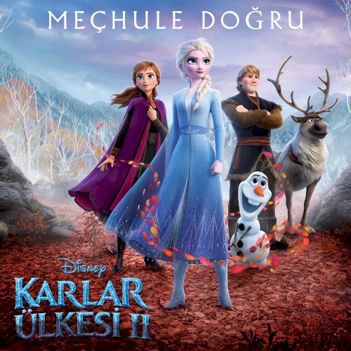Meçhule Doğru封面