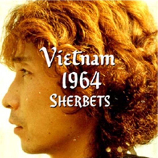 VIETNAM 1964封面
