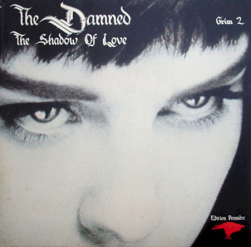The Shadow of Love封面