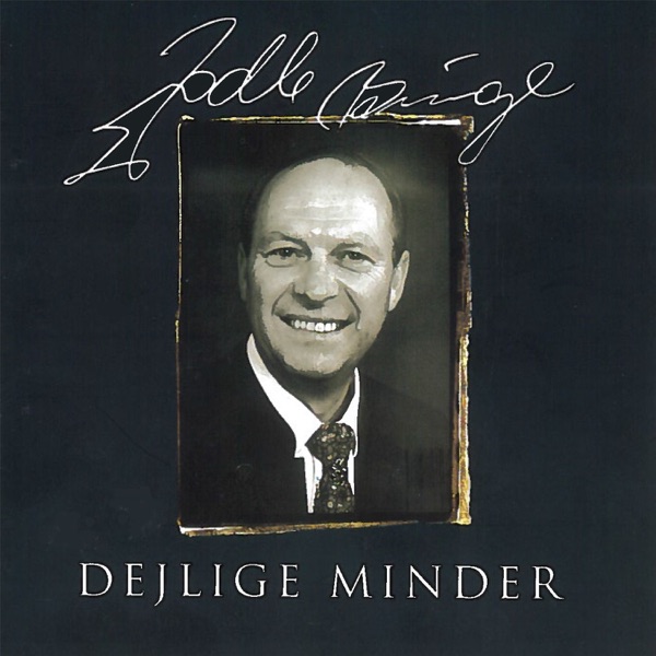 Dejlige Minder封面