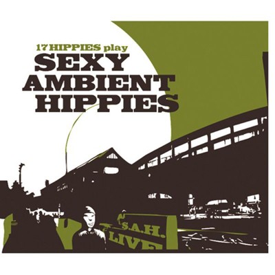 Sexy Ambient Hippies封面
