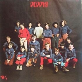 Poppys封面