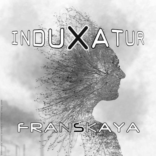 Induxatur封面